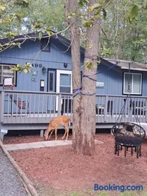Fun Home in Pocono with Gameroom-Firpit-BBQ Grill-TV and AC in all rooms - Image 3