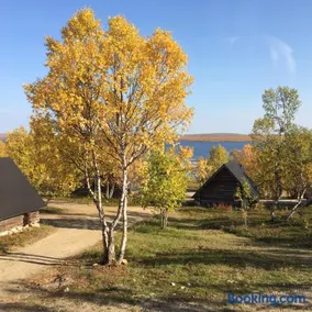 Aajatieva Wilderness Stay & Camping - Image 2