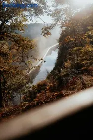 La Cabane dans les arbres du Domaine de la Forestière - Image 2