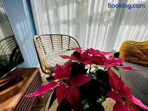 Aranygesztenye Apartmanház - Image 4