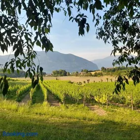 Vigna Lago - Image 2