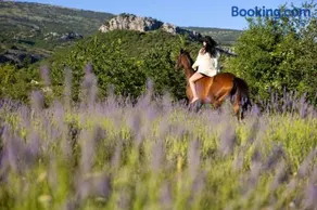 Three-Bedroom Holiday Home in Dabar - Image 2