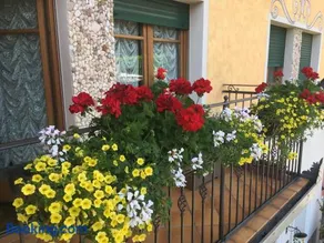 Alla Loggia dell'Imperatore - Image 3