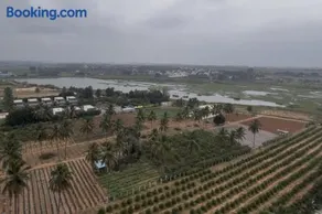 Runway & Lake Views! Luxury StudioApt Near Airport - Image 4