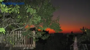 The House By The Mulberry Tree - Image 1