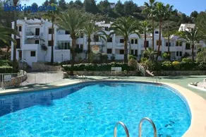 Buganvilla - Image 2