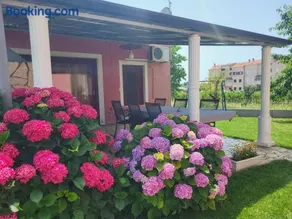 Apartments Dragica - Image 3