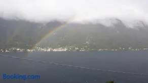Gli Ulivi di Nesso - Image 4