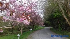 Wood Lodge Estate - Image 1