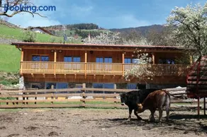 NEUE Ferienwohnungen auf dem Gebreitnerhof, Urlaub auf dem Bauernhof - Image 3