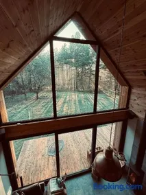 meet trees - Image 3