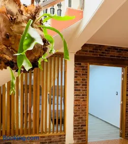Hotel Paso Realce - Image 4