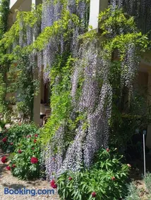 Pavillon de Diane, Le Malesherbois - Image 2