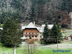 Geräumige Wohnung im Schwarzwald - Image 2