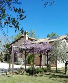 B&B Antegiano - Image 1