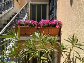 Casa Angioletta - Image 1