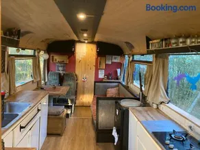 Le Bus de la Forêt - Image 2