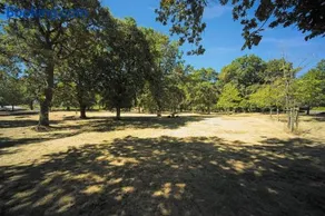 Casa Carvalhal do Esporão - Image 3