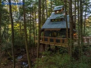 Enchanted Evergreen - Image 3