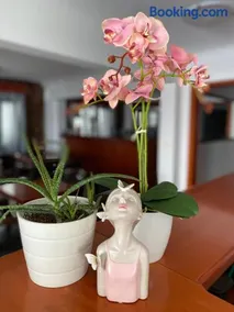 Korali Hotel - Image 4