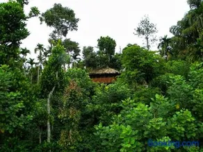 Greens Tree House & Wood House - Image 1