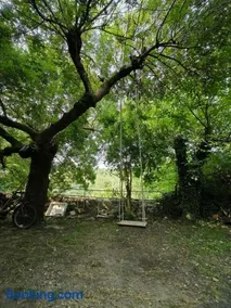 Chuuslii à La paix rie - Image 2