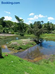 Sitio fonte das aguas - Image 2