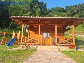 Brvnara, Bogutovačka Banja - Image 5