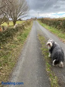 Coastal Living Wild Atlantic Way - near Strandhill - Image 2