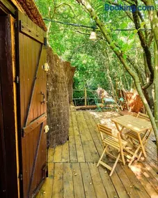 Cabane dans les bois - Image 3