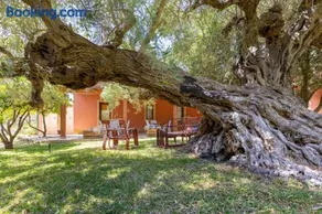 Lemalu con giardino - Image 5