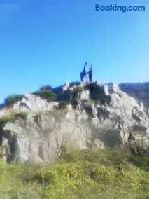 les écureuils - Image 3