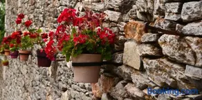 Casa Baran - Image 3