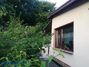 Ferienhaus am Wald - Image 1