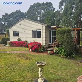 Beach & Forest Stay - Image 4