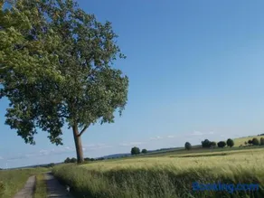 Natur und Ruhe - für Ruhe suchenden - Image 1