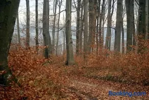 Zselici Barangoló Vendégház - Image 2
