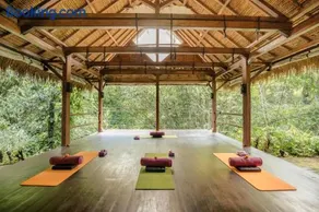 Basundari Retreat Ubud - Image 3