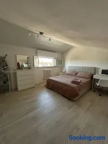 Summer Nest - Image 1