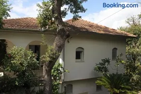 Villa Torre - Image 2