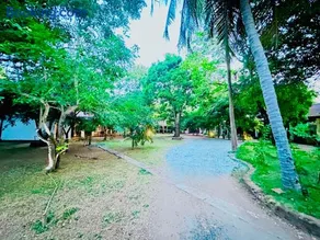 Polonnaruwa Holiday inn - Image 3