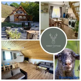 Forest Cottage 2024 - Image 2