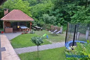 Green Zelina - Image 2