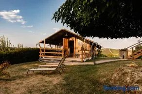 Campbirun - Image 2