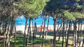 Primera Línea con Vistas al Mar y Piscina - Image 1