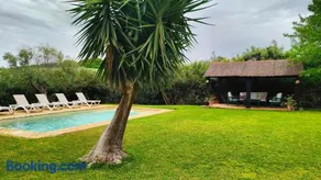 Casa de campo - Cortijo El Palomar - Image 2