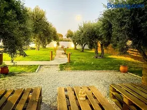Oliviera - House in Nature - Image 5