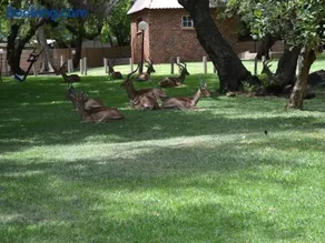 Mount Amanzi by MyResorts - Image 3