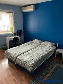 blue room - Image 3