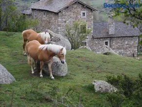 Ferme Can Llull - Image 4